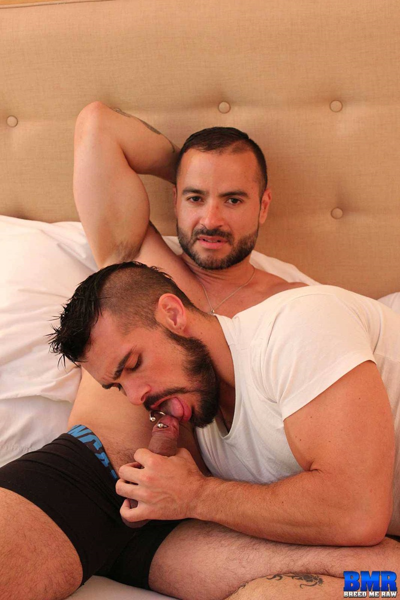 Ass Rimming Hairy - Gabriel Fisk rims and eats Aarin Asker's hairy asshole | Naked Gay Porn Pics