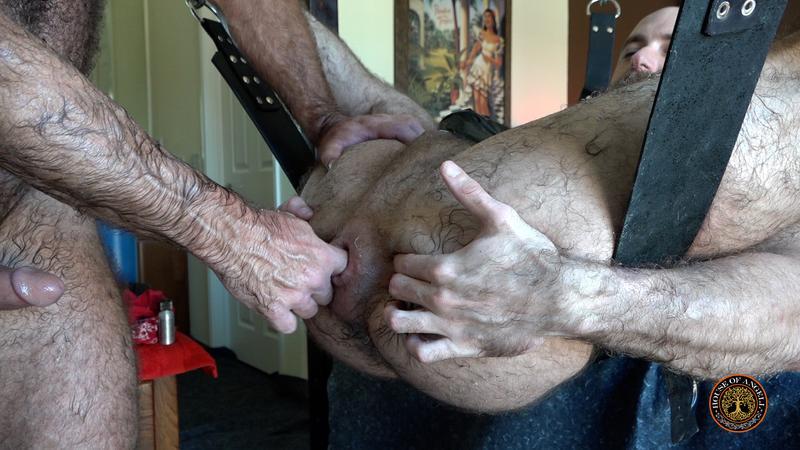 Hairy older hunks Daddy Will Angell House of Angell Ryan ungloved fisting anal probing 7 gay porn pics - Hairy older hunks Daddy Will Angell and House of Angell Ryan ungloved fisting anal probing